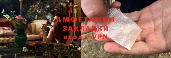 молекула духа Алексин