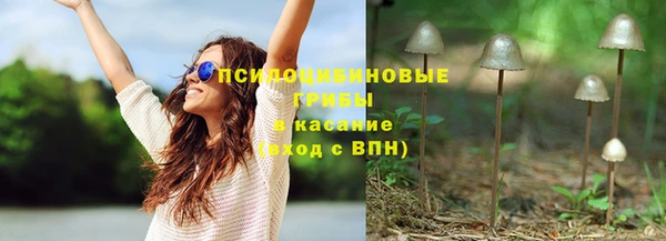молекула духа Алексин