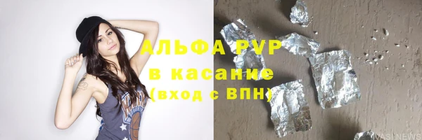 стаф Алзамай