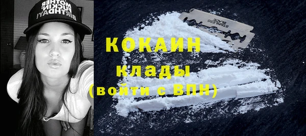 молекула духа Алексин