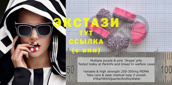 стаф Алзамай