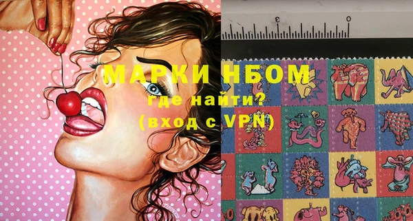 стаф Алзамай