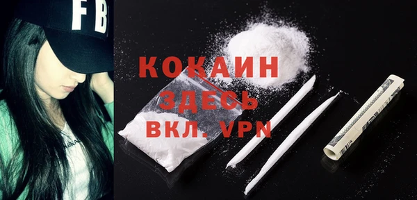 стаф Алзамай