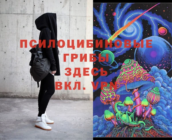 молекула духа Алексин