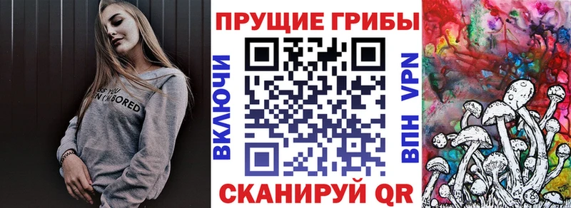 Галлюциногенные грибы MAGIC MUSHROOMS  Жигулёвск 